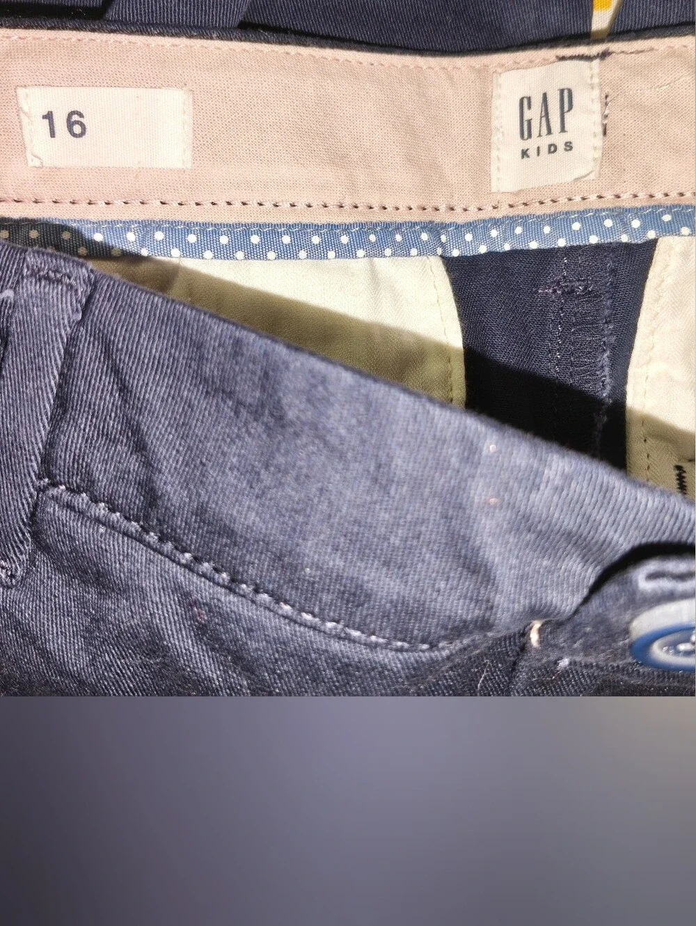 #243 GAP Navy Chinos